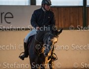 CAletto della Verdina TosTour2013- S5 3153 : Arezzo, Arezzo Equestrian Centre, Caletto della Verdina, Cavalli d'Italia, Toscana Tour 2013, foto di Stefano Secchi ©